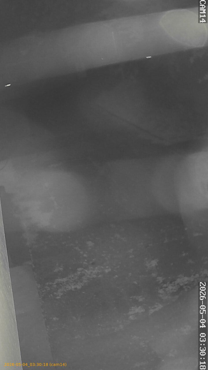 20260504033018