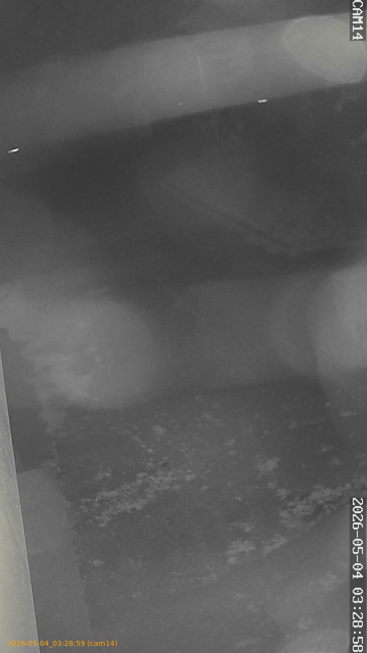 thumbnail_202605040328