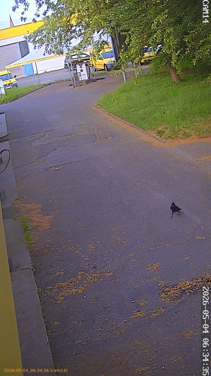 thumbnail_20260504063436