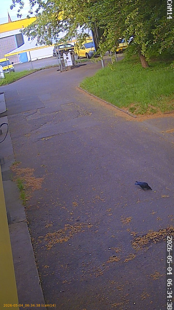 thumbnail_20260504063438