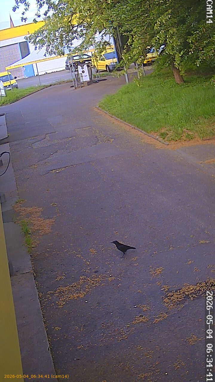 thumbnail_20260504063441