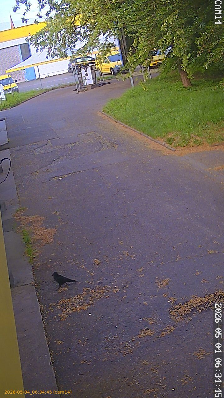 thumbnail_20260504063445