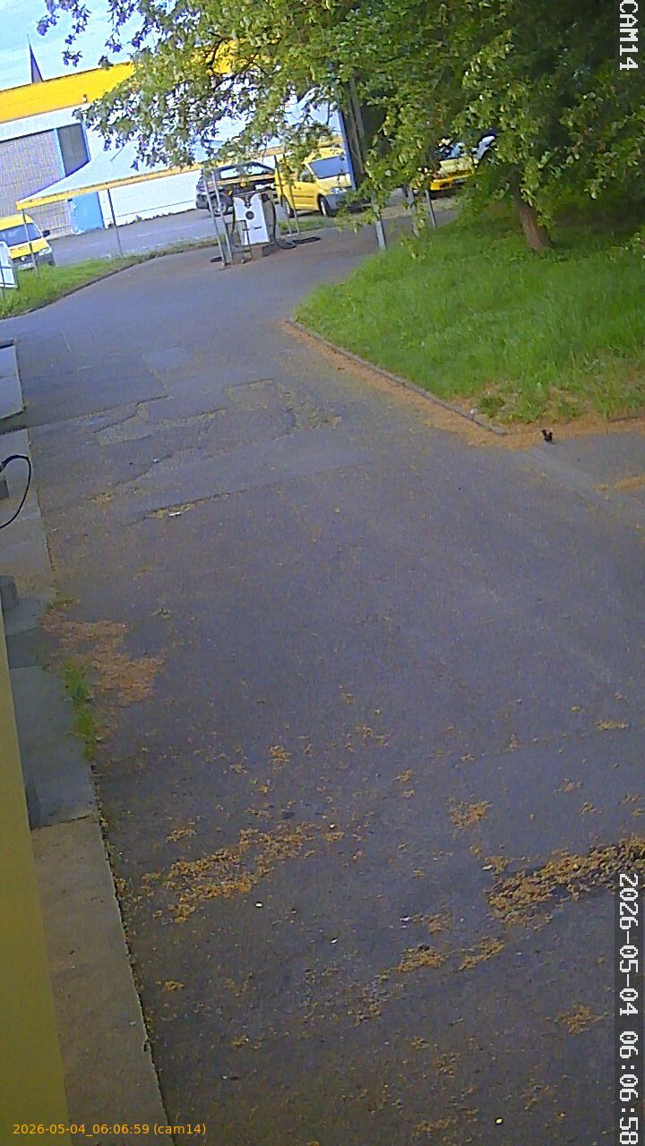 thumbnail_202605040606