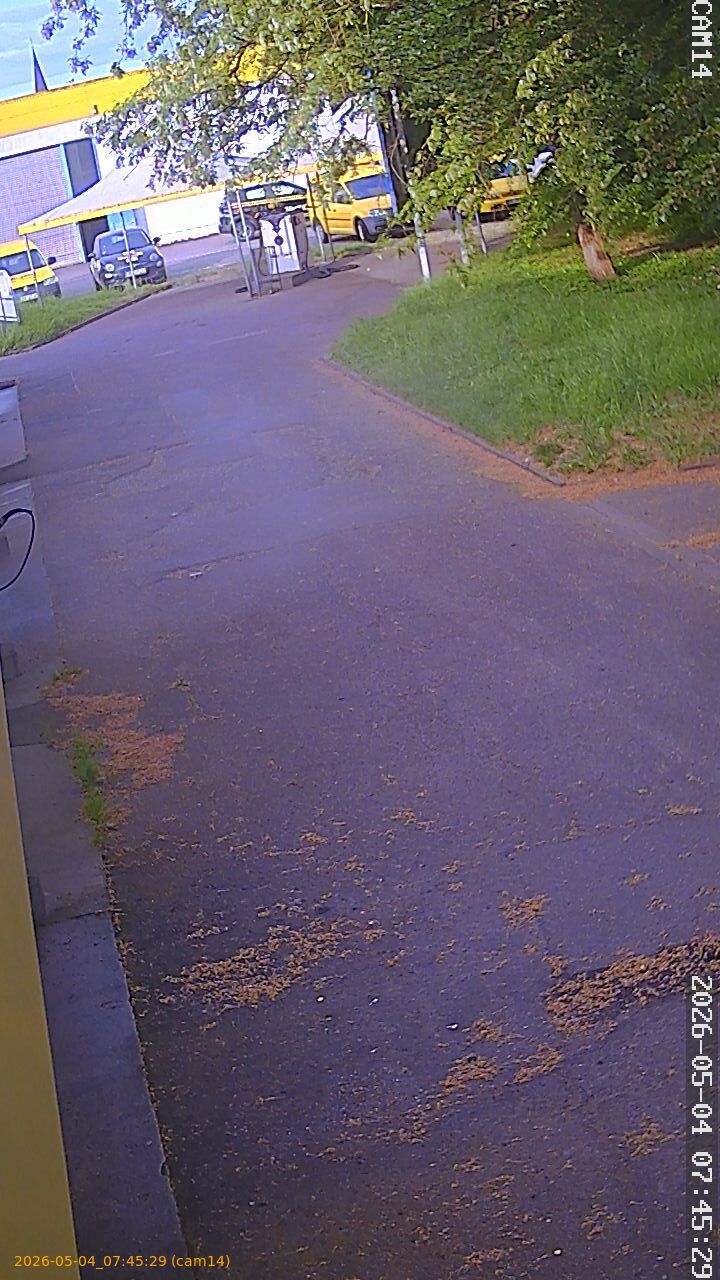20260504074529