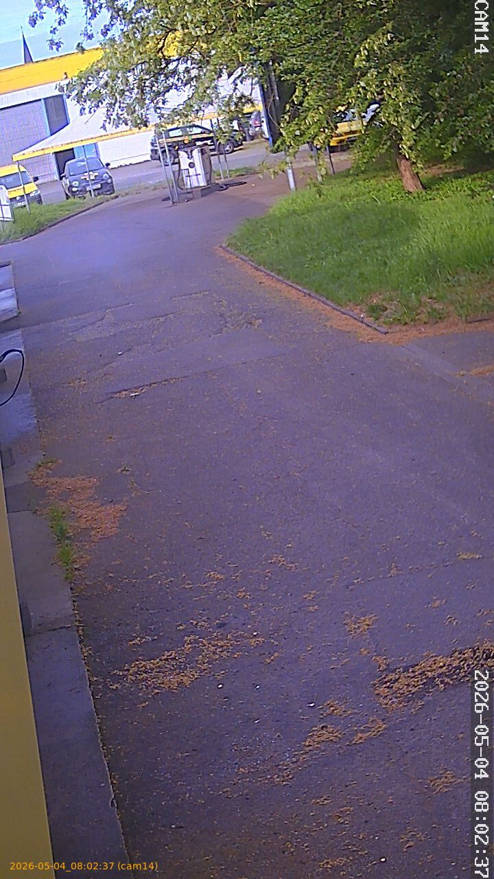 20260504080237