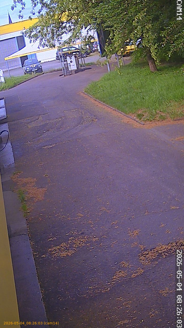 20260504082603