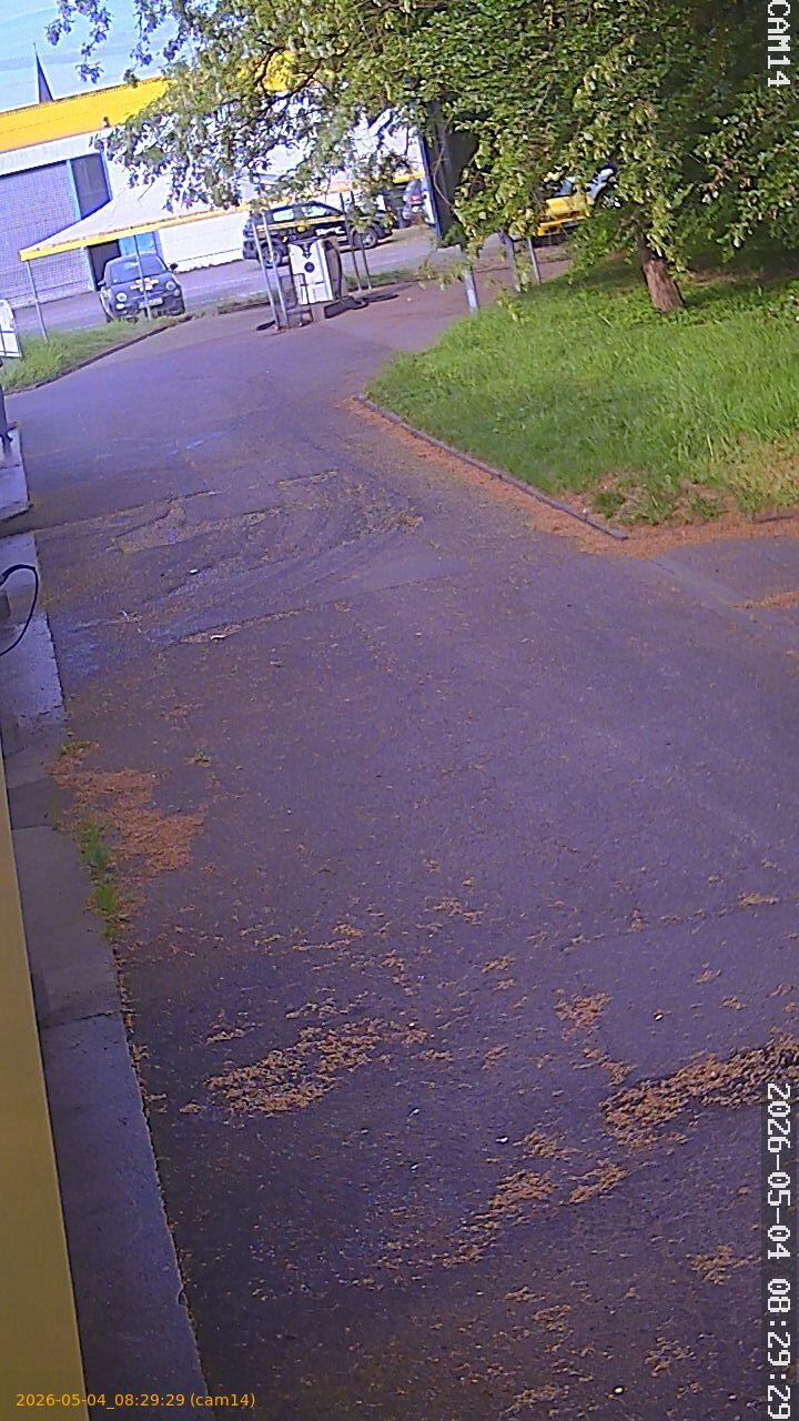 20260504082929