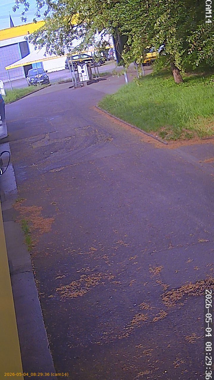 20260504082936