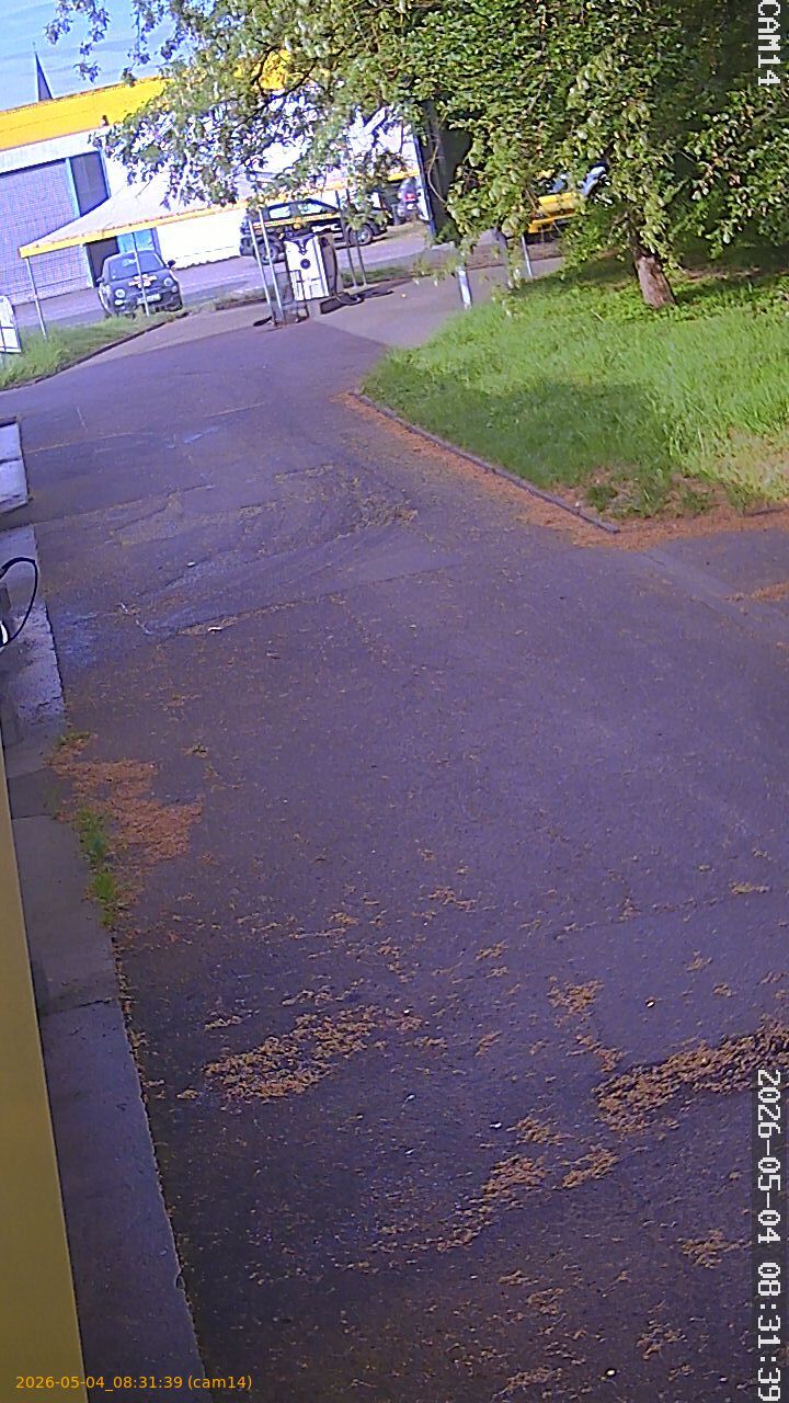 thumbnail_20260504083139