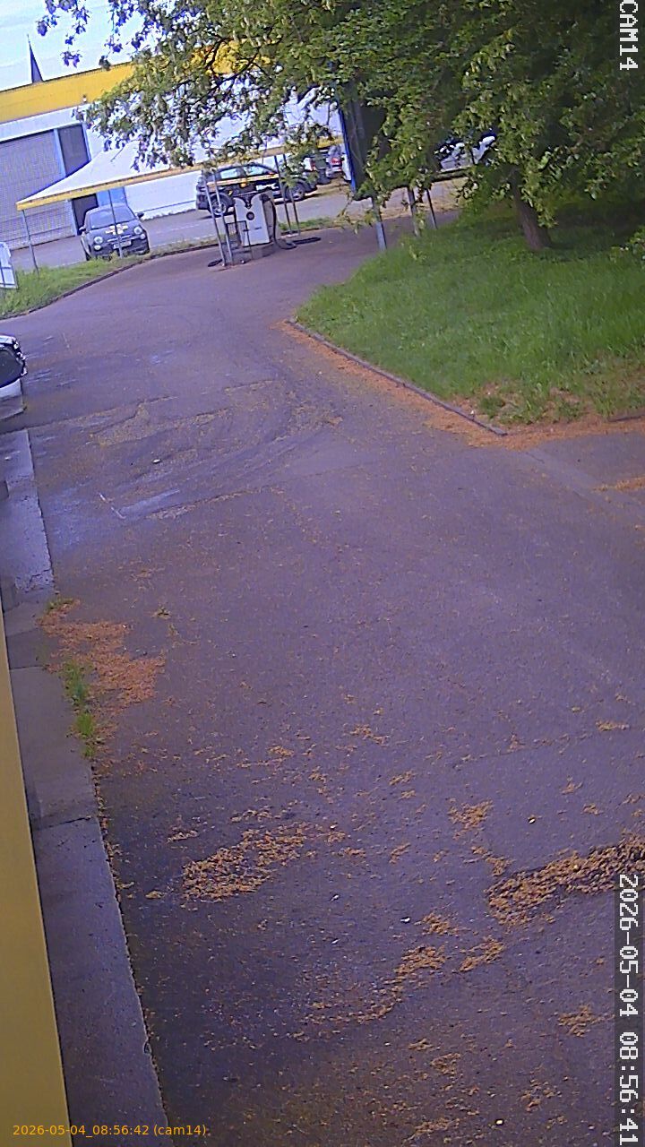 20260504085642