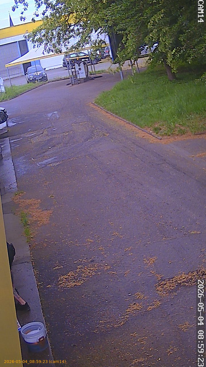 20260504085923