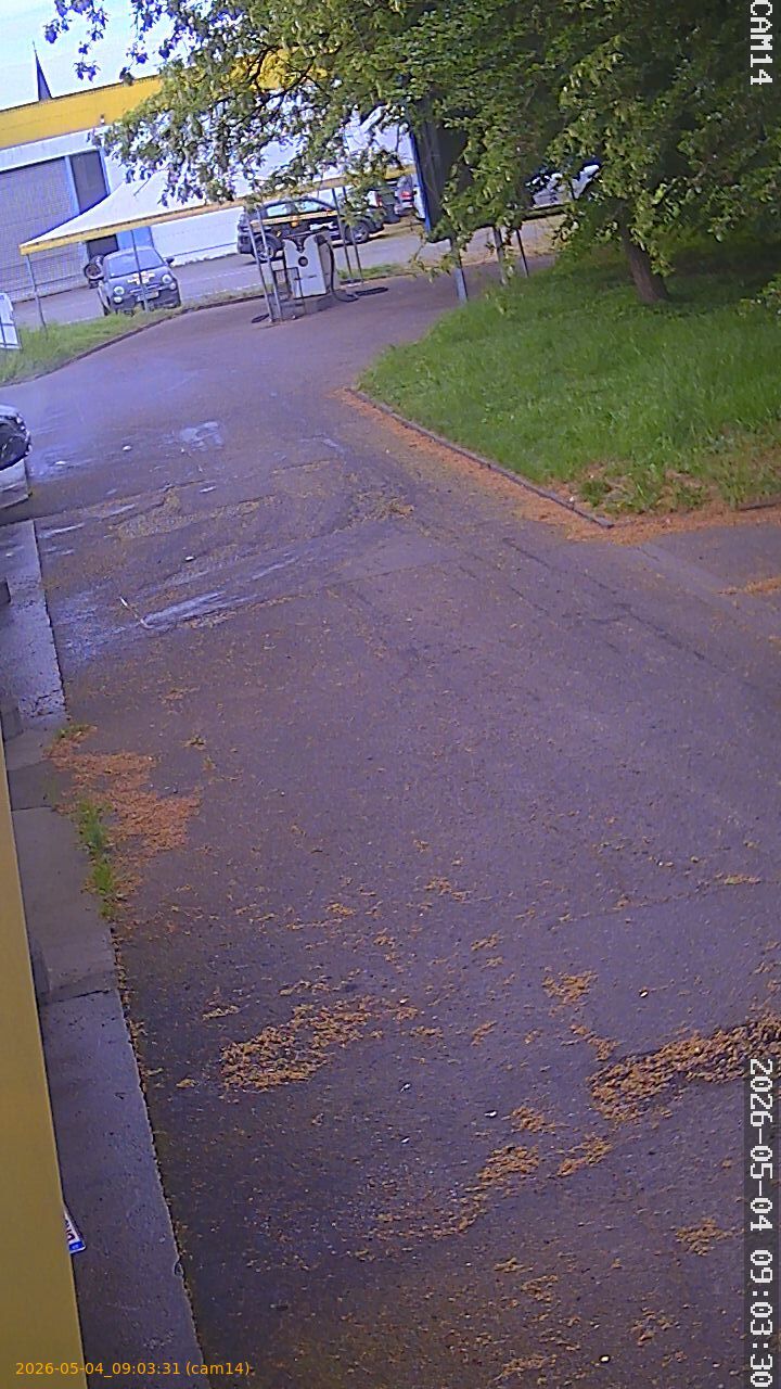 20260504090331