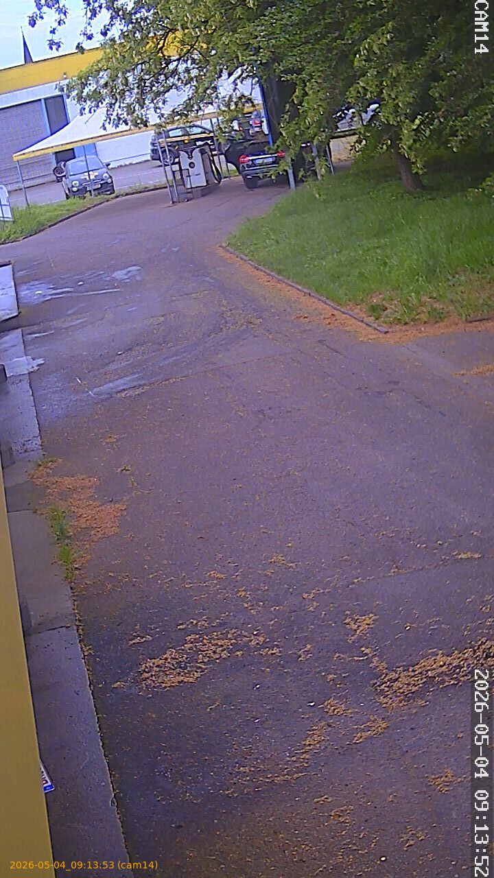 20260504091353