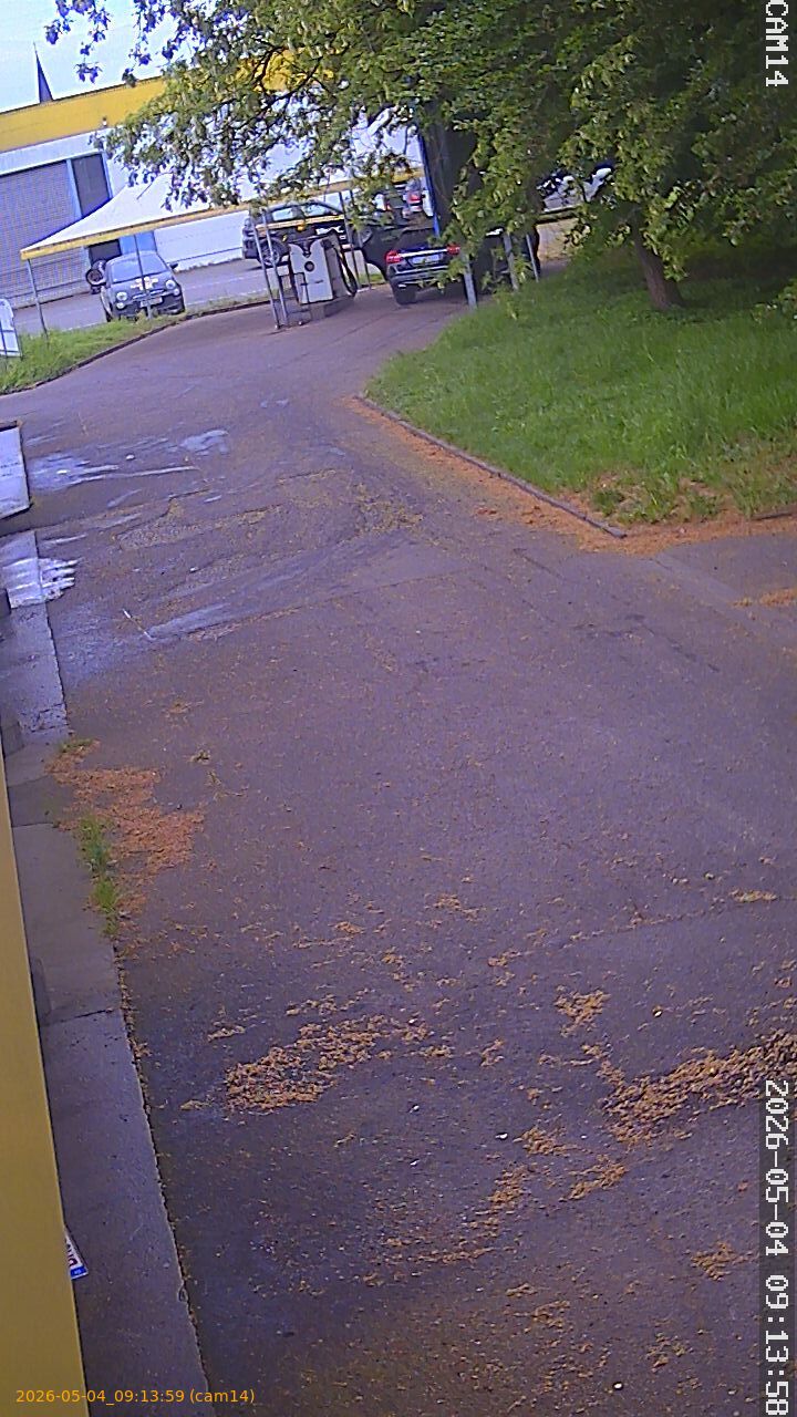 thumbnail_202605040913