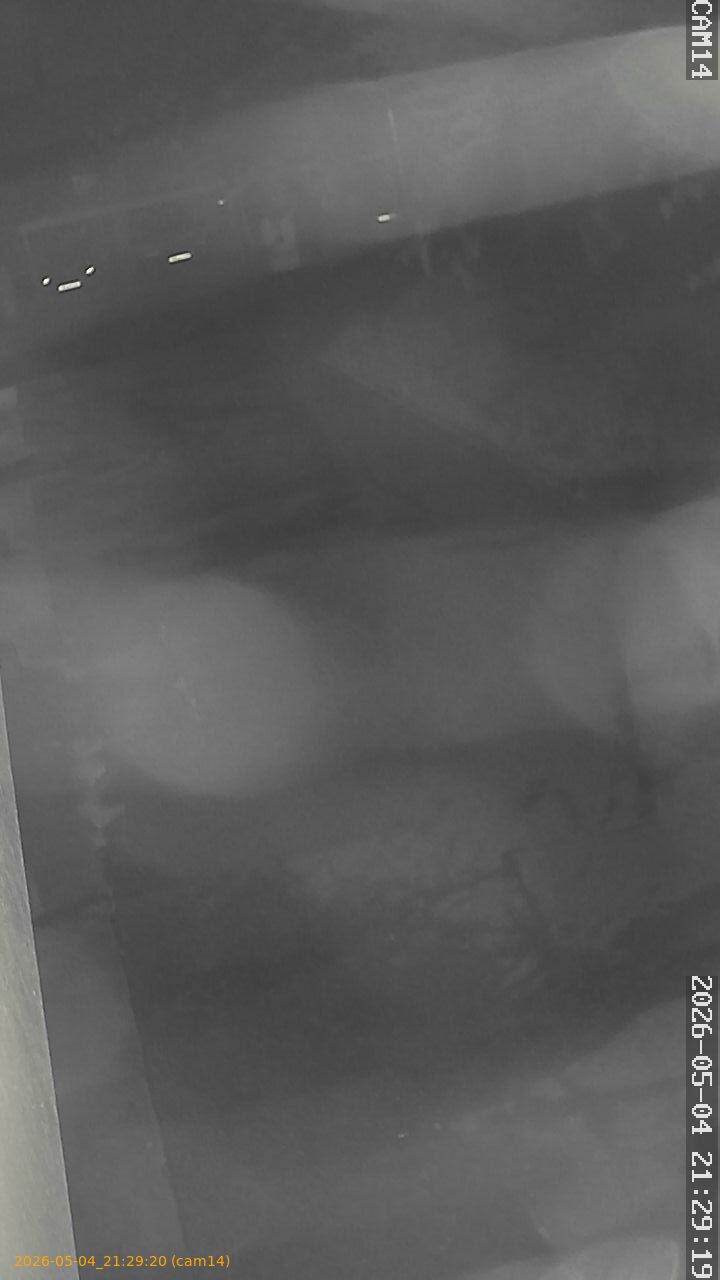 thumbnail_20260504212920
