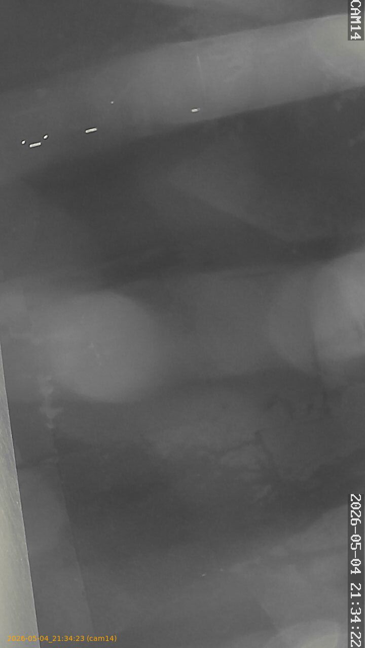 thumbnail_20260504213423