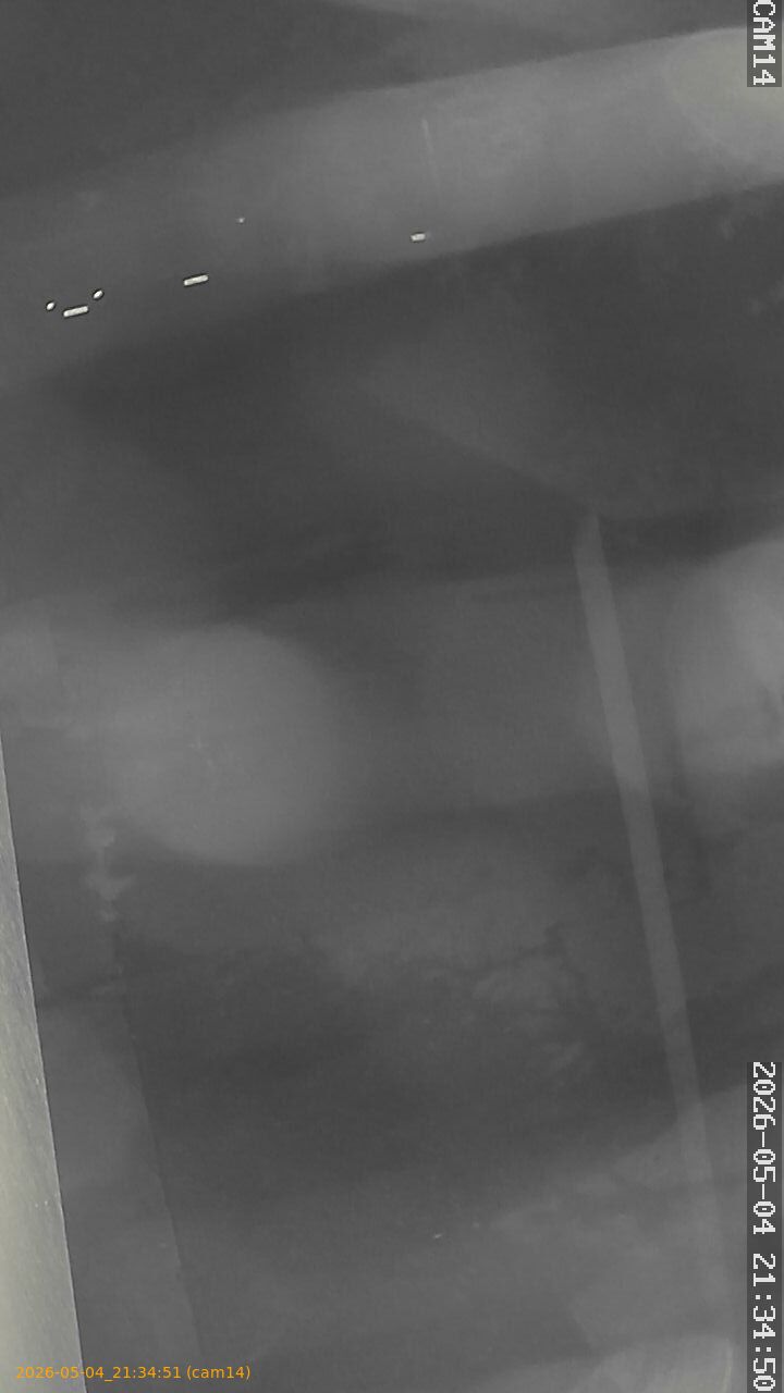 thumbnail_20260504213451