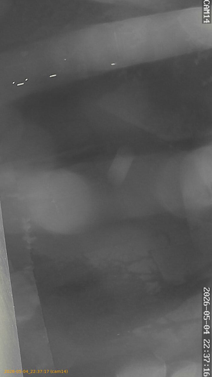 20260504223717