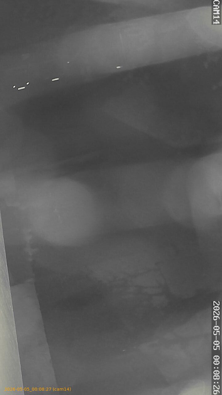 20260505000827
