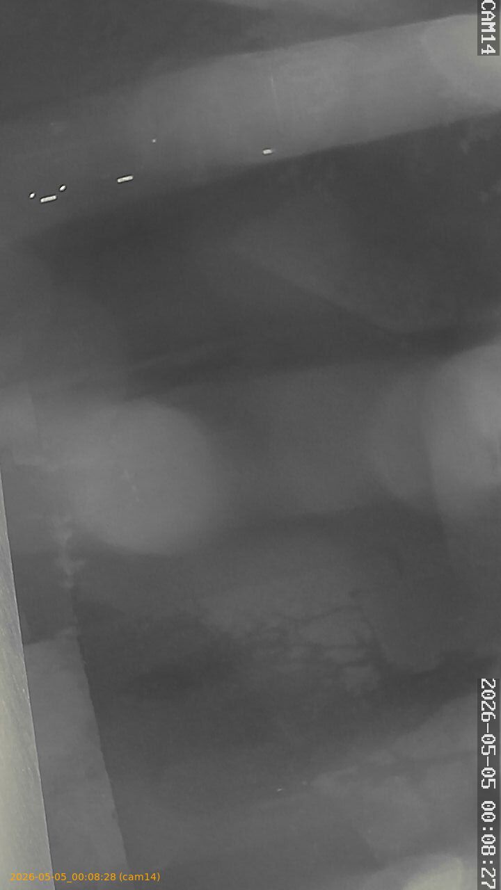 20260505000828