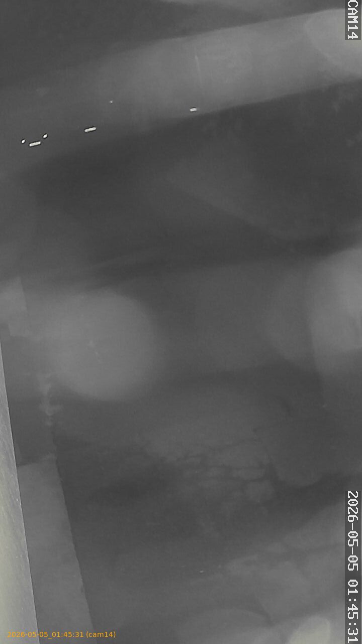 thumbnail_20260505014531