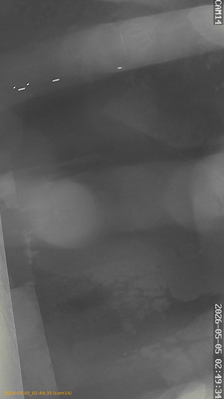 thumbnail_20260505024935