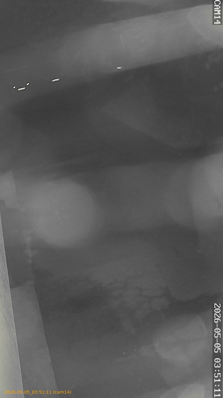 thumbnail_20260505035111