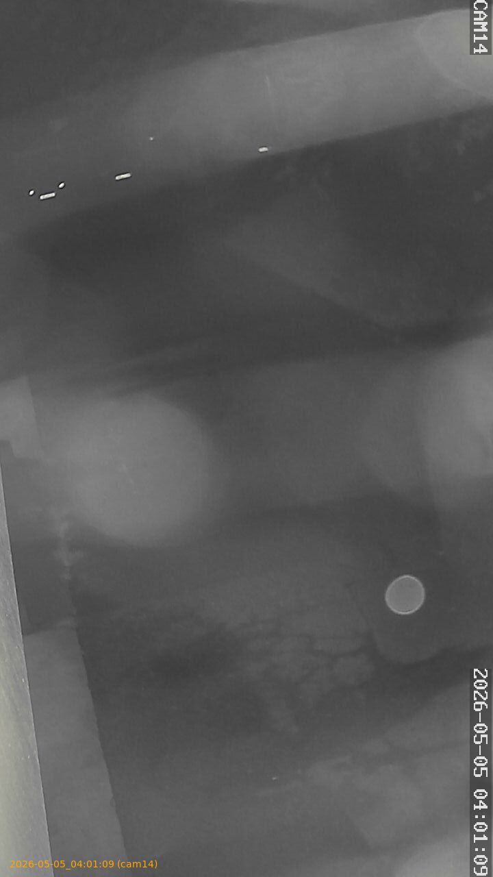 thumbnail_20260505040109