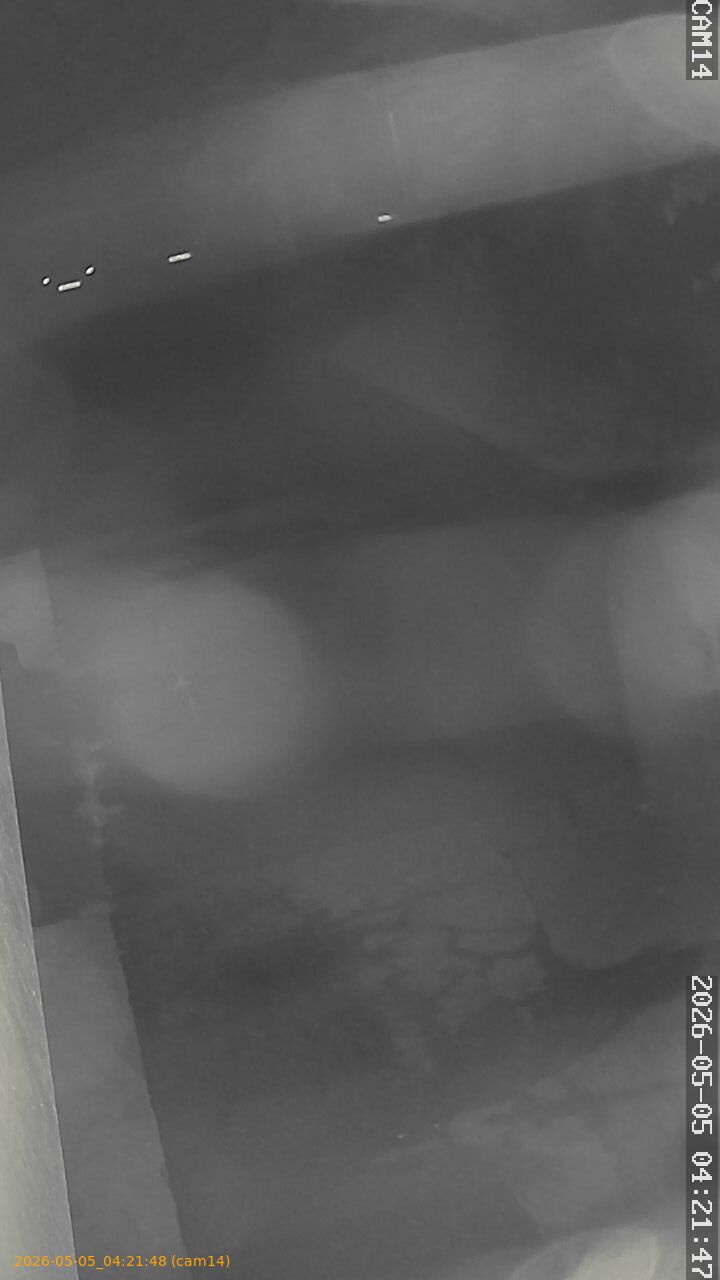 thumbnail_20260505042148