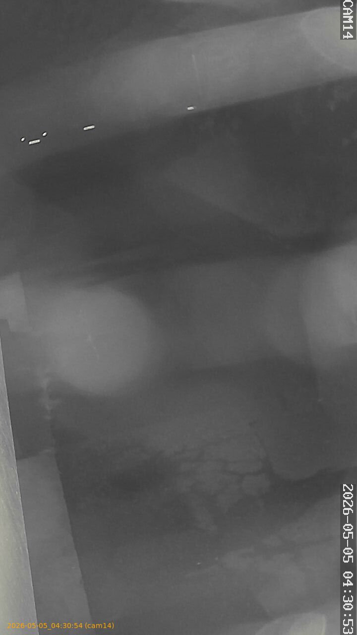 thumbnail_20260505043054