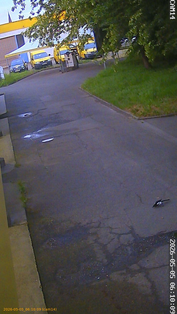 thumbnail_20260505061009