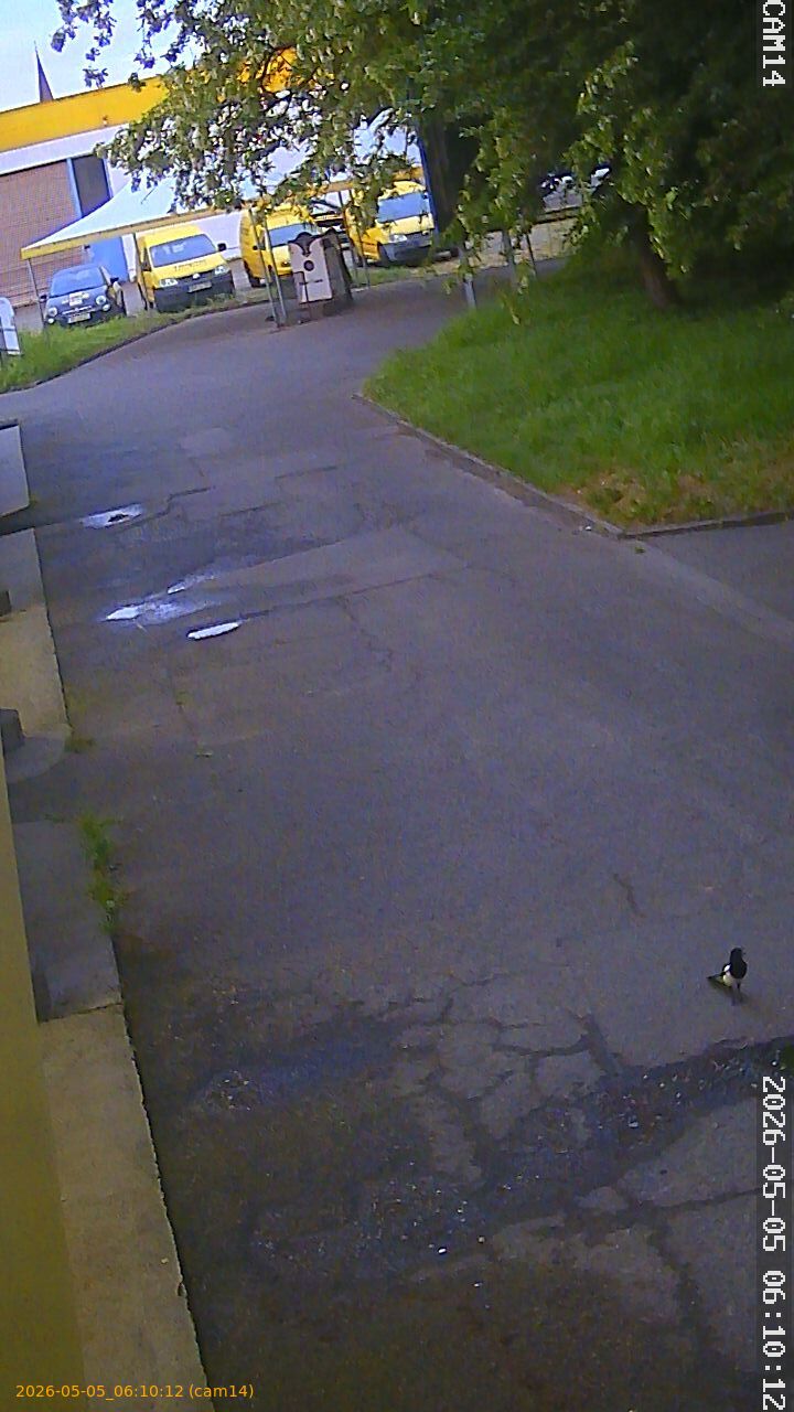 thumbnail_20260505061012