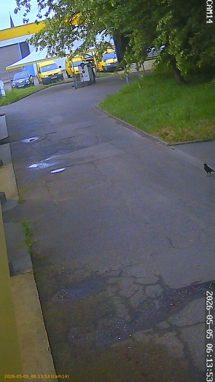 20260505061353