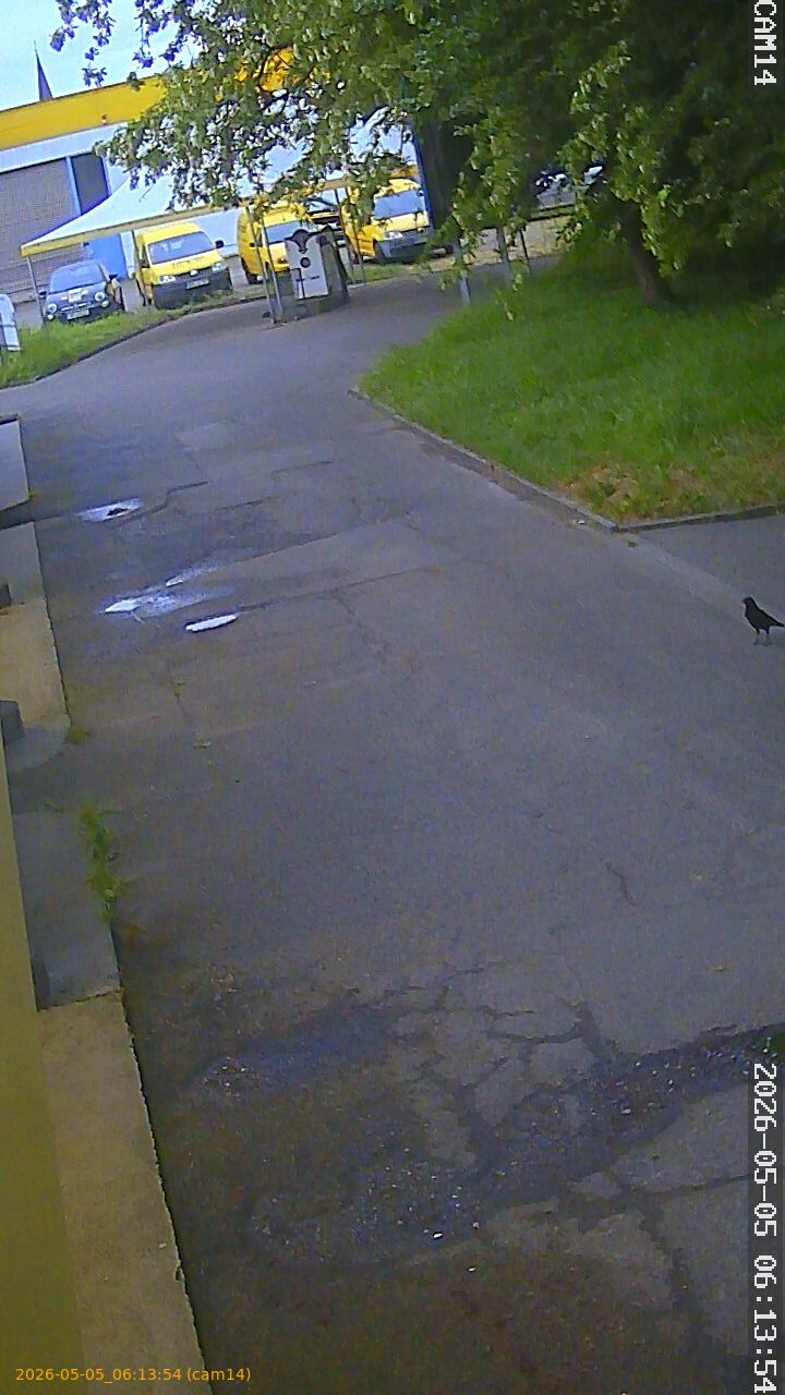 thumbnail_20260505061354