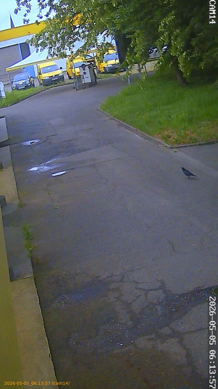 thumbnail_20260505061357