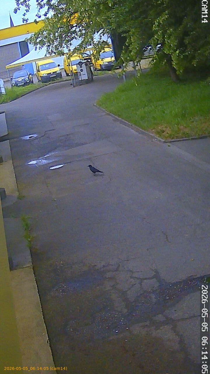 thumbnail_20260505061405