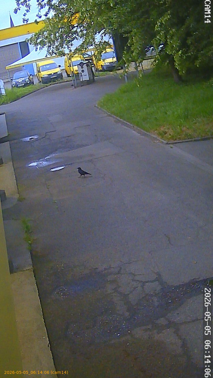 thumbnail_20260505061406