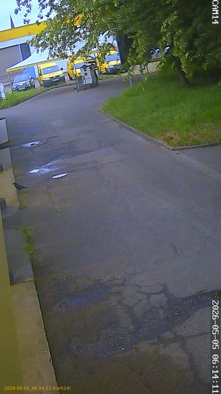 thumbnail_20260505061411