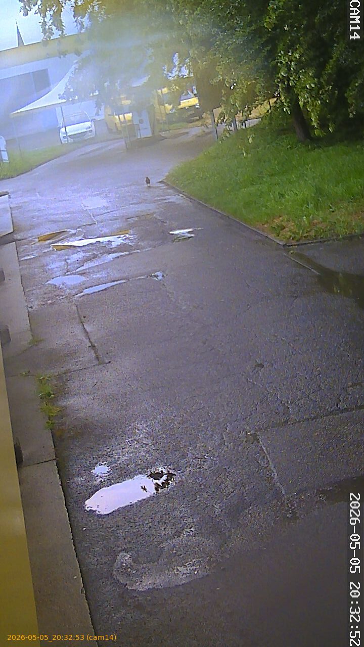 thumbnail_20260505203253