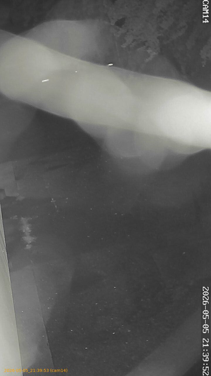 20260505213953