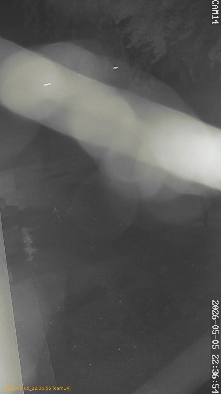 thumbnail_20260505223655