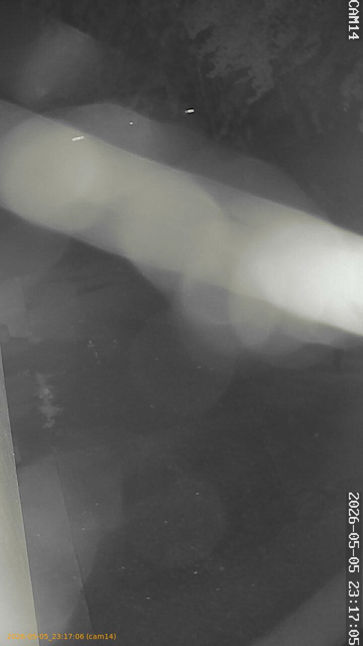 thumbnail_20260505231706