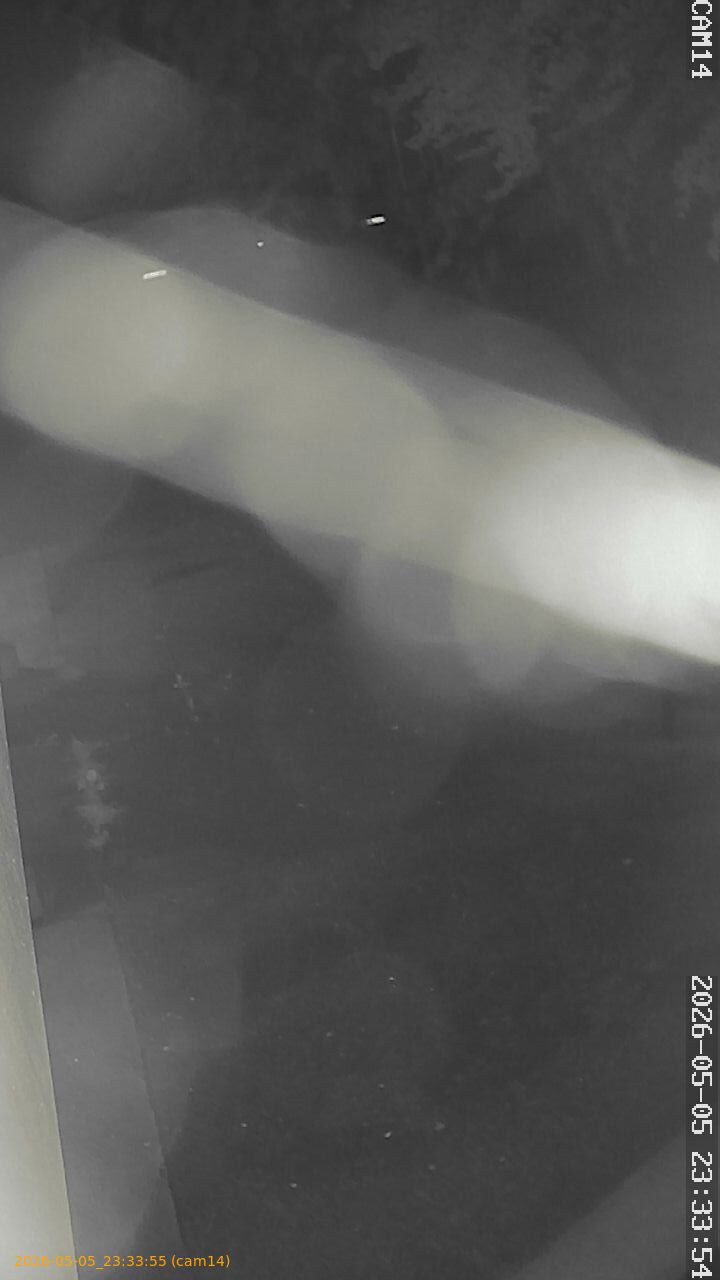 thumbnail_20260505233355