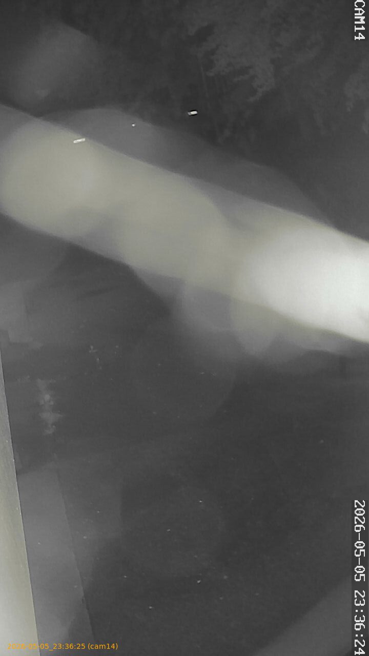 20260505233625