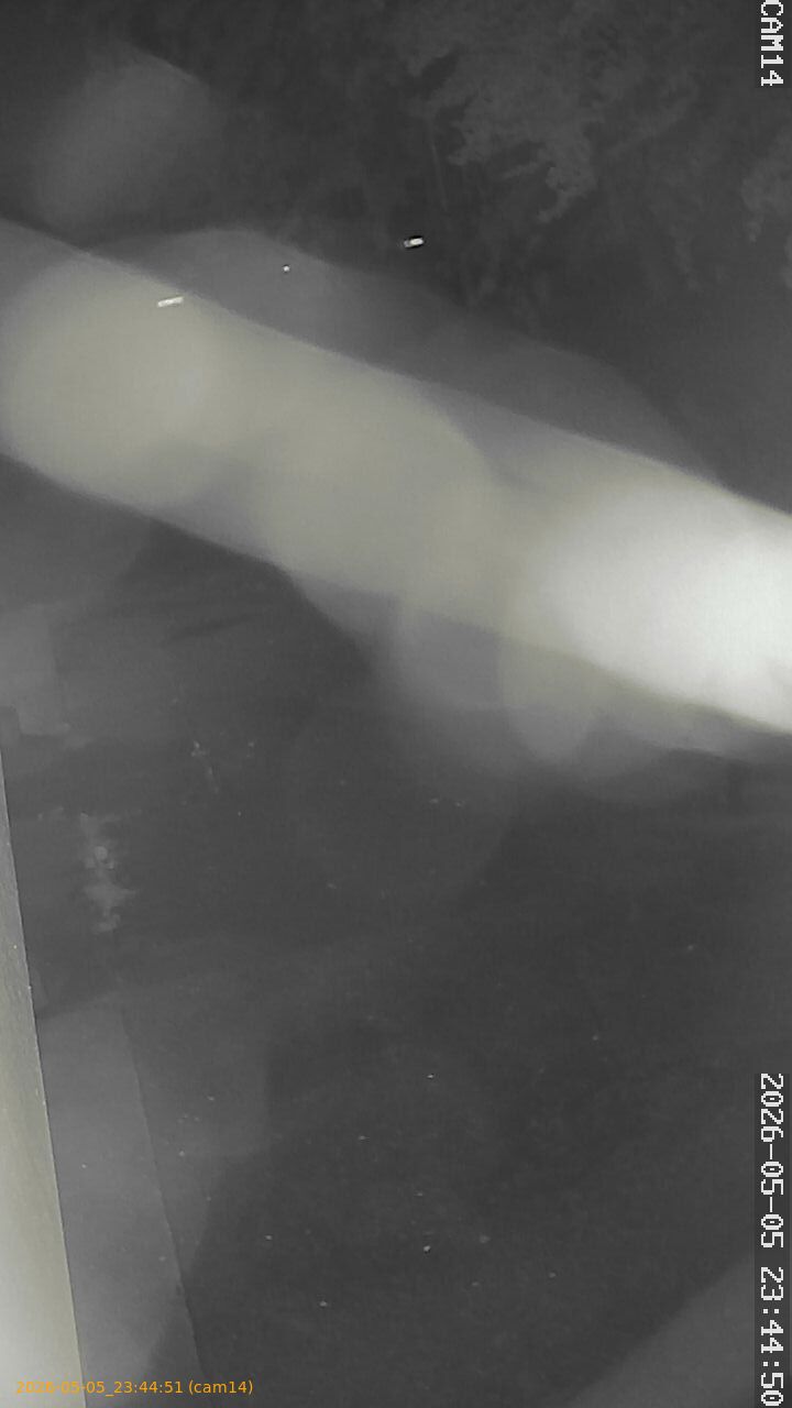 thumbnail_20260505234451