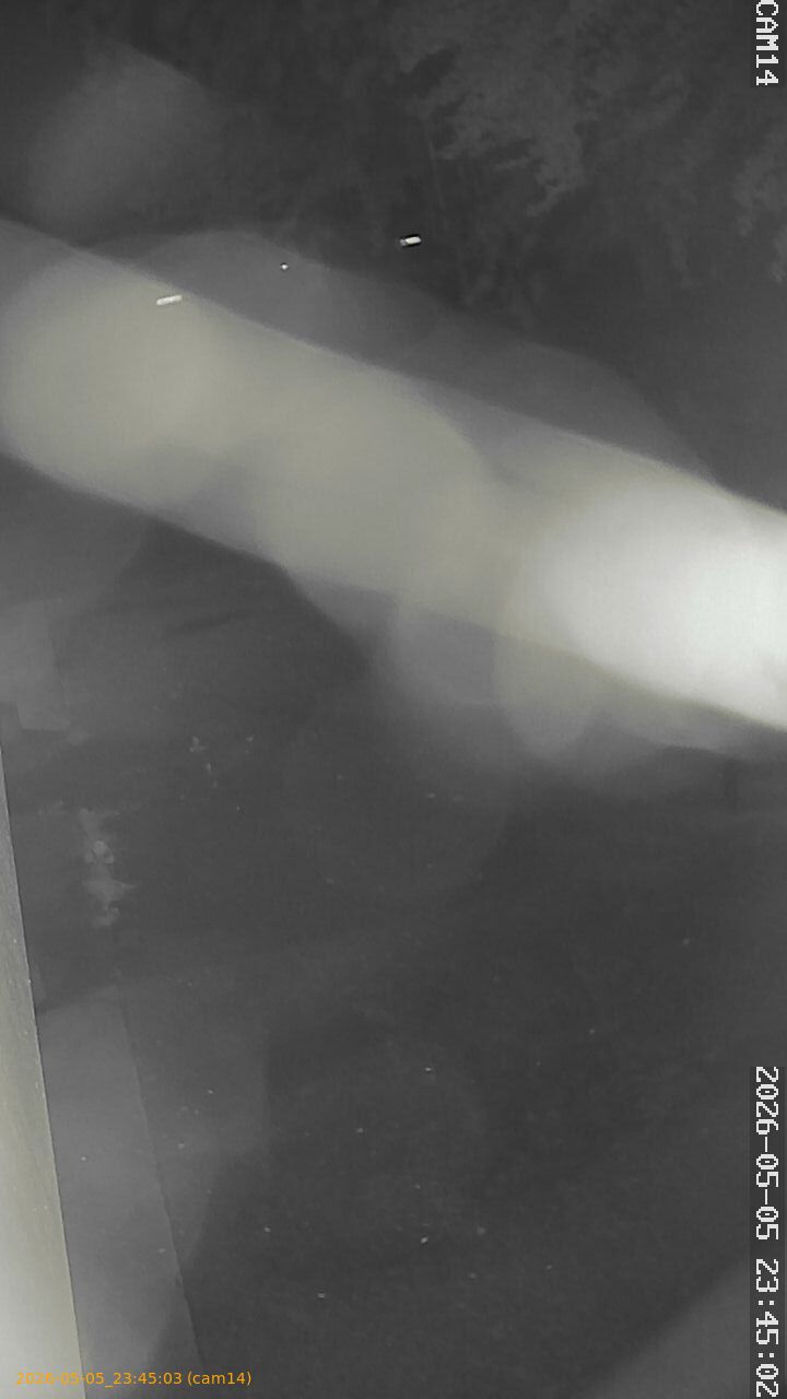 20260505234503