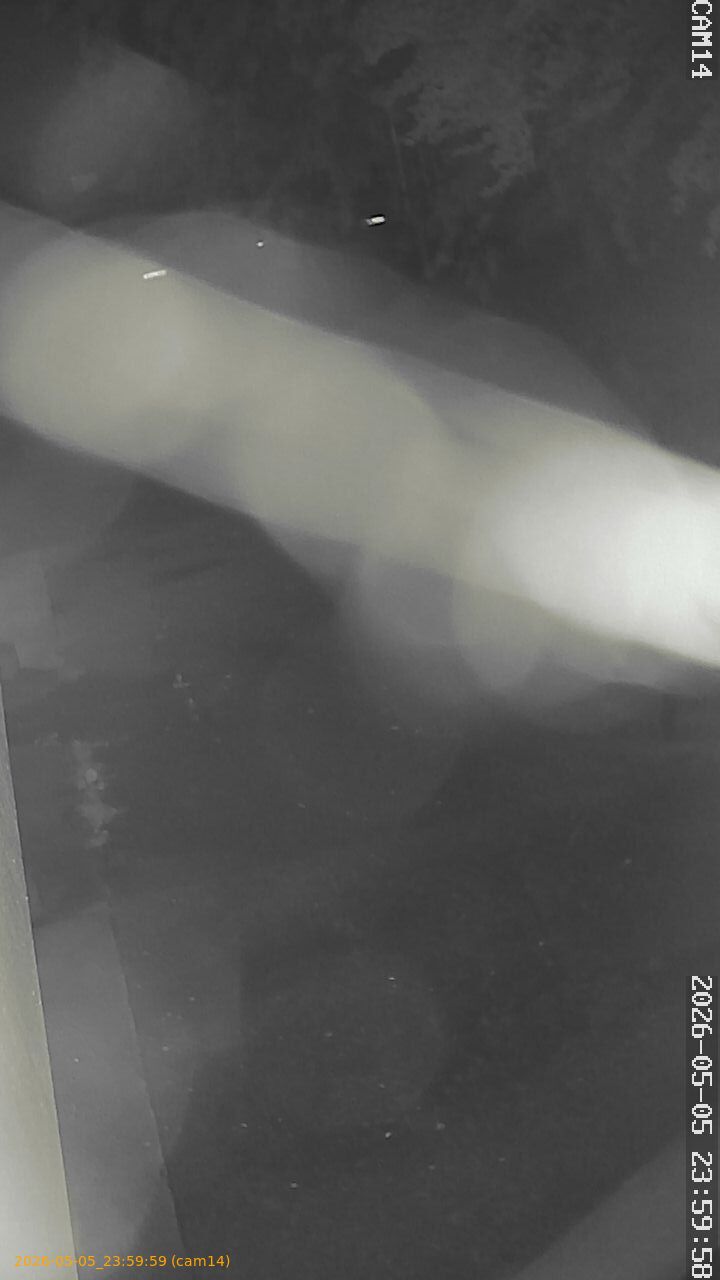 thumbnail_202605052359