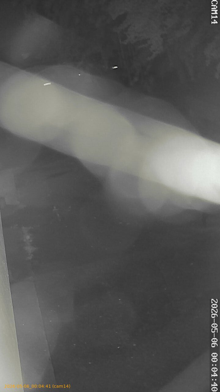 thumbnail_20260506000441
