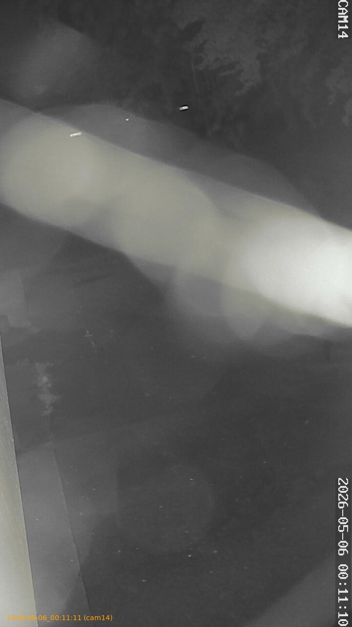 thumbnail_20260506001111