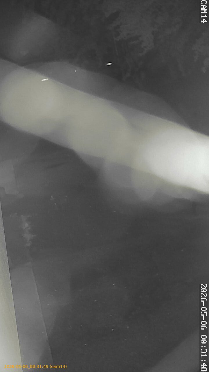 thumbnail_20260506003149